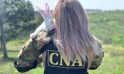 Зображення для публікації 'Центр боротьби з корупцією Молдови опублікував фотосесію з кроликами до Великодня'