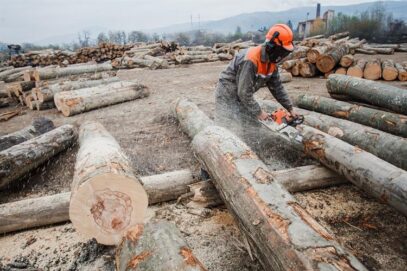 Зображення для публікації 'У розслідуванні про незаконну вирубку карпатського лісу фігурує компанія «ВГСМ»: що про неї відомо'