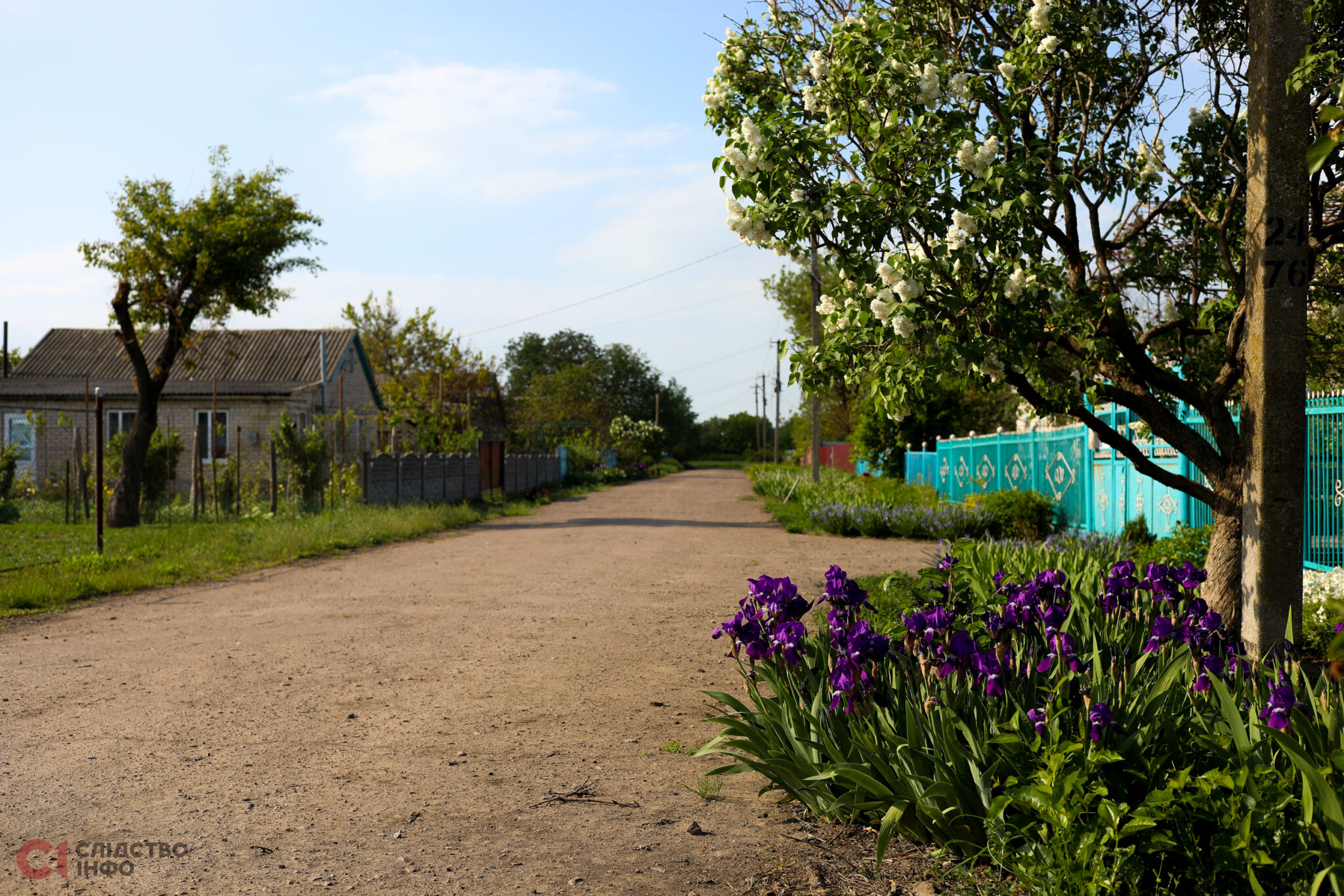 Безлюдна вулиця у покинутому селі Орлово поруч з лінією фронту у Херсонській області