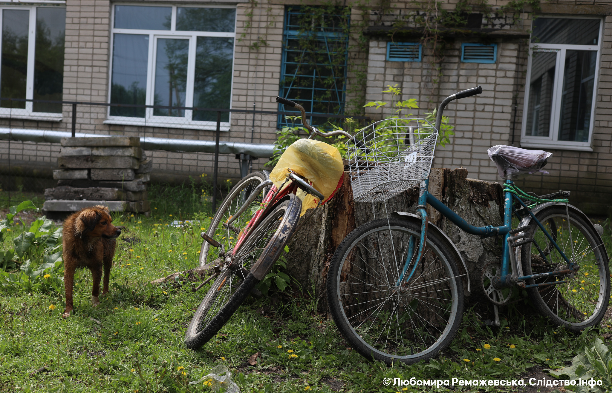 Селяни припаркували свої велосипеди поруч з місцевою школою на Дніпропетровщині