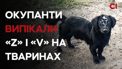 Зображення для публікації 'Росіяни спустошили ціле село на Харківщині — тіла вбитих місяцями лежали у підвалі'