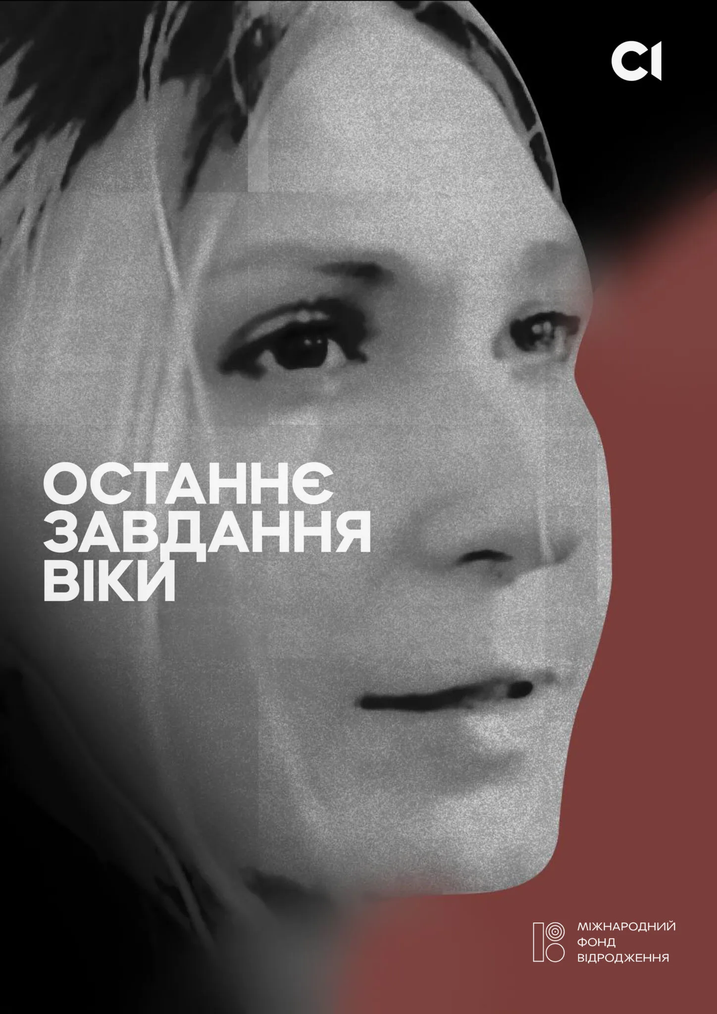 Image for publication 'Vika’s Last Assignment'